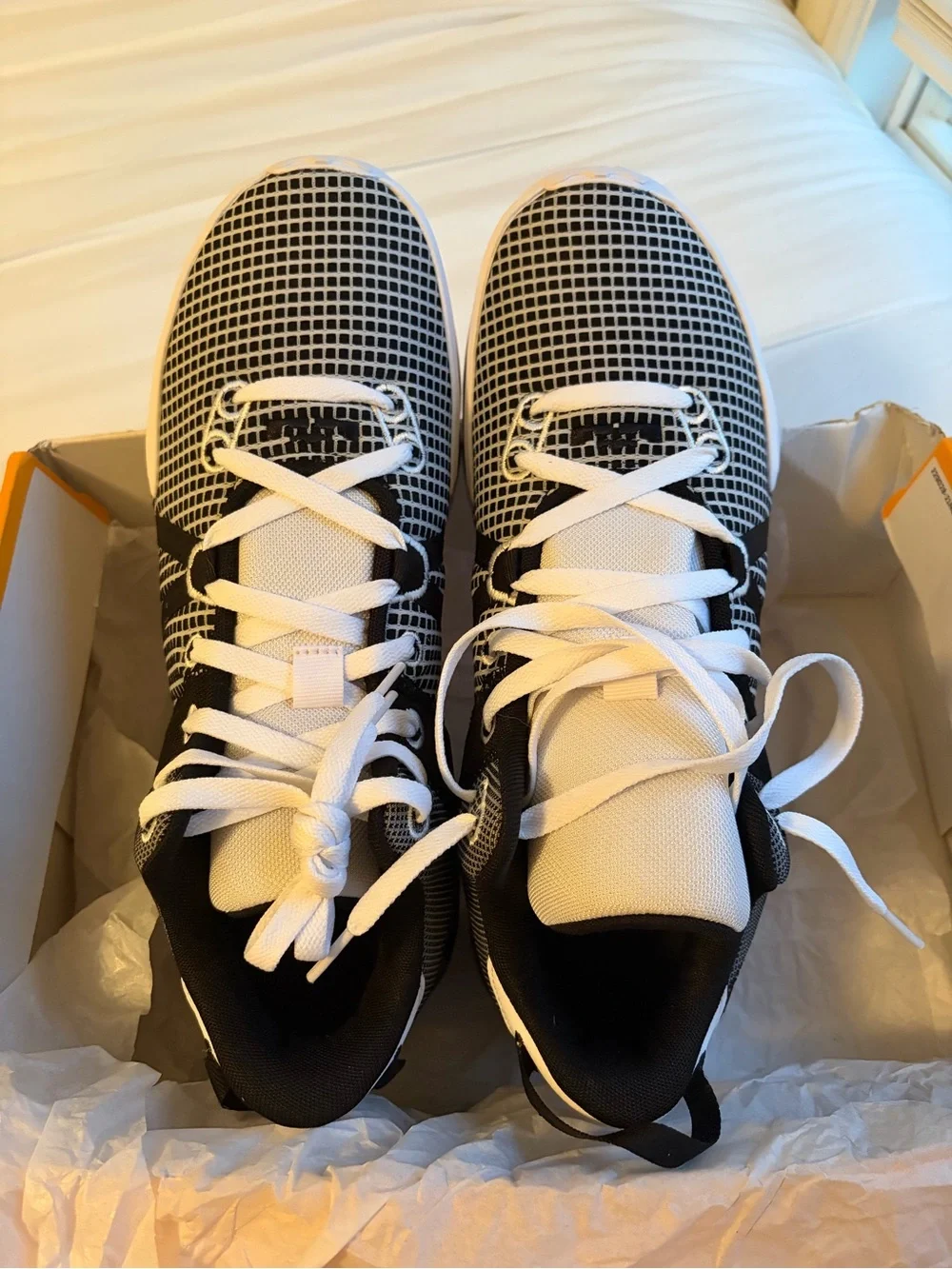 LeBron witness VII